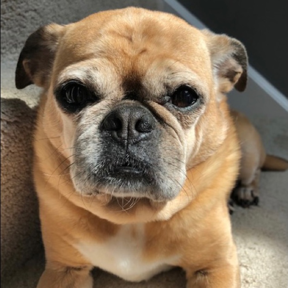 Meet Cassie!